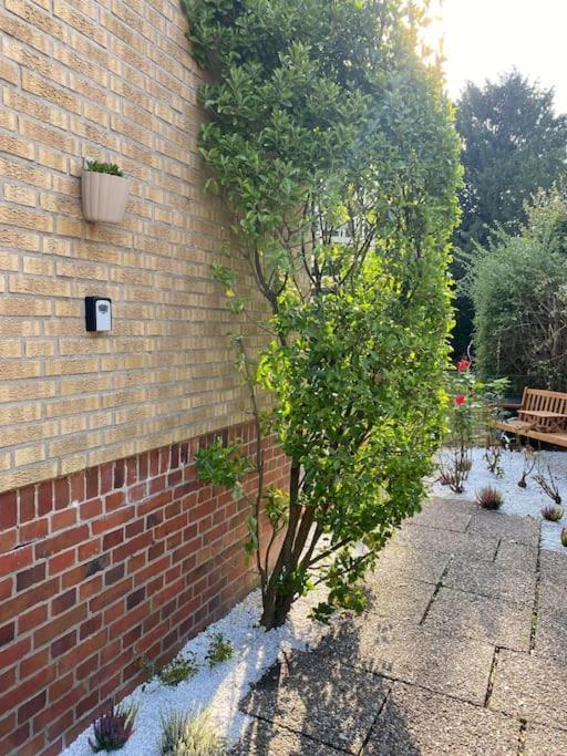 Apartment Sonniges In Naehe Zentrum